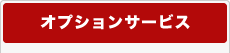 �I�v�V�����T�[�r�X