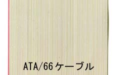 ATA/66P[u