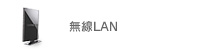 LAN