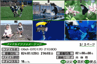 TlC\C[W
