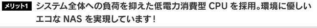 システム全体への負荷を抑えた低電力消費型CPUを採用。環境に優しいエコなNASを実現しています！