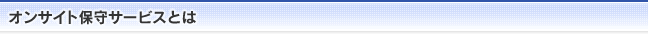 オンサイト保守サービスとは