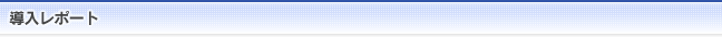 導入レポート