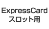 ExpressCardXbgp