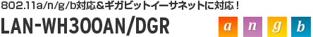 LAN-WH300AN/DGR