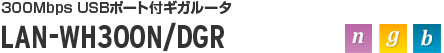 LAN-WH300N/DGR