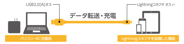 充電・データ転送が可能。