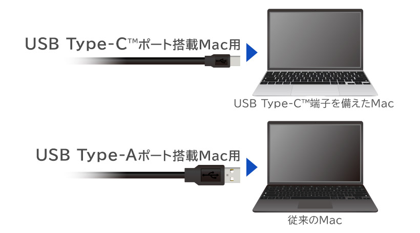 Type-A/Type-C2ނUSBP[uWt