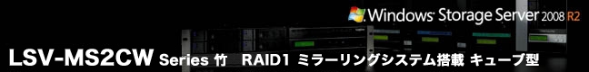 LSV-MSX2C series  竹　増設対応RAID1搭載キューブ型NAS 