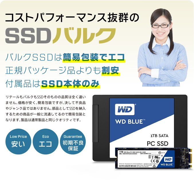 SSD240 バルク品 新品　3個セット バルクSSD - ロジテック株式会社