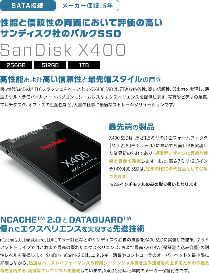 SSD240 バルク品 新品　3個セット バルクSSD - ロジテック株式会社