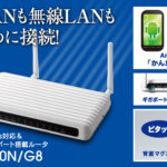 LAN-W300N/G8